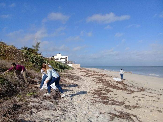 La veda en Yucatán sigue viento en popa