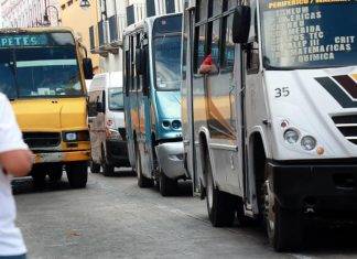 ¡Aunque usted no lo crea! bajan tarifas de transporte público en Mérida