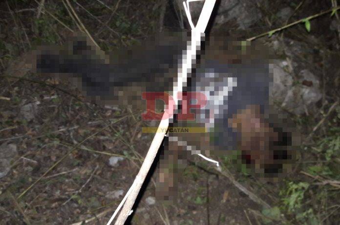 Tres muertos en volcadura carretera: dos hombres y un caballo
