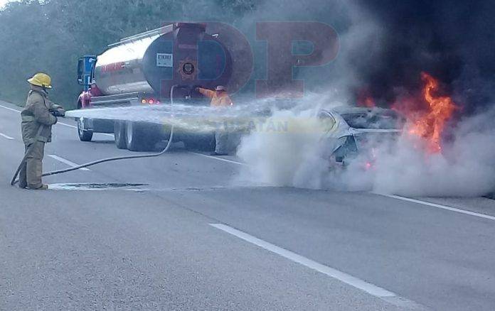 Bomberos acuden al rescate, pero ya era muy tarde