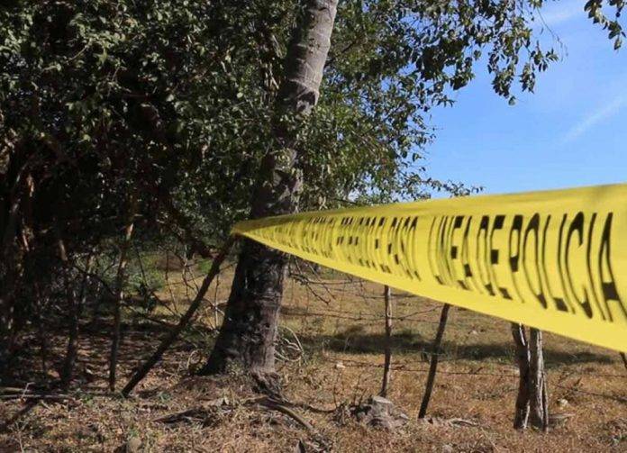 Ya hallaron 69 cuerpos en 11 fosas clandestinas
