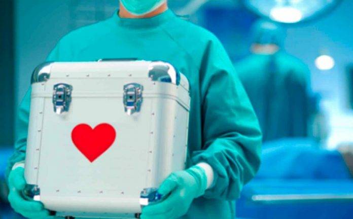 Muere una niña, y sus órganos donados dan esperanza de vida a cinco personas