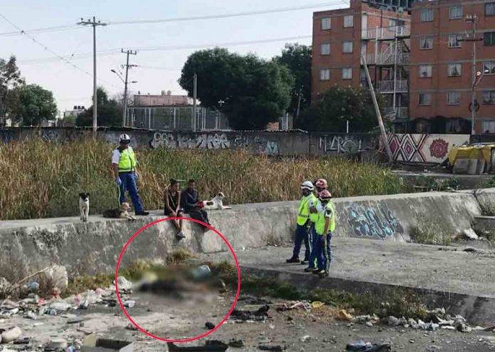 Perros callejeros devoraban cadáver de un indigente
