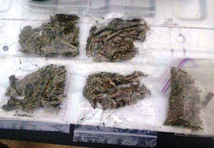 Apañan a 'dealer' con bolsas de 'mota', con los nombres de sus clientes