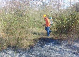 Brigadistas, listos para temporada de sequía e incendios