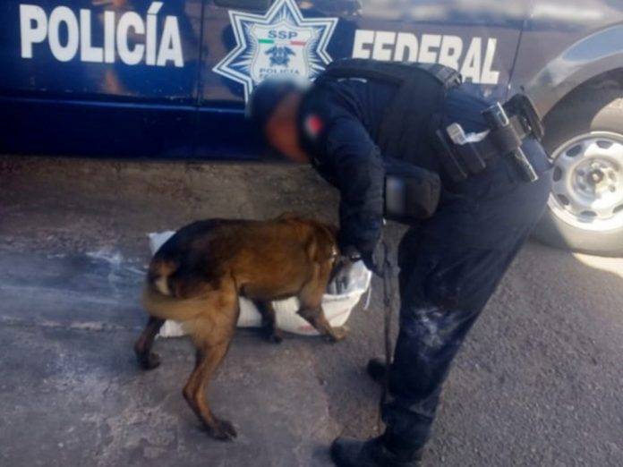 Aseguran droga escondida en sacos de harina