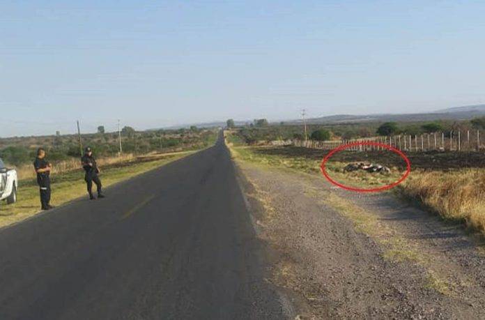 Aparecen siete ejecutados en plena carretera, en Jalisco