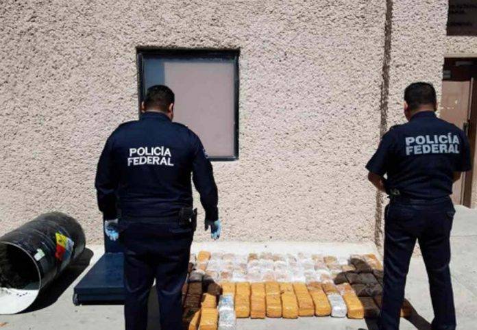 Escondía casi 1/4 de tonelada de mota en seis tambos
