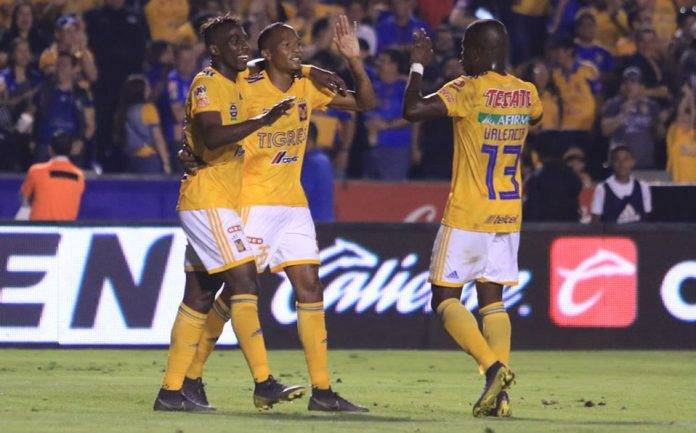 Los felinos de la UANL han ganado 7 de sus 9 partidos de Liga.