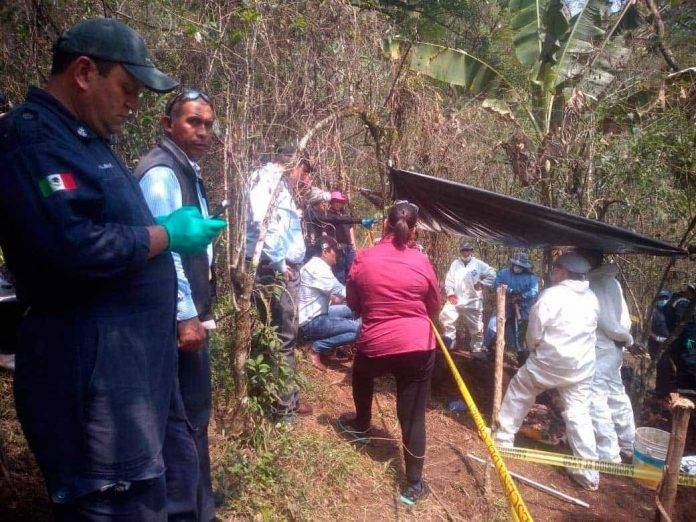 Hallan 15 cadáveres en fosas clandestinas en Veracruz