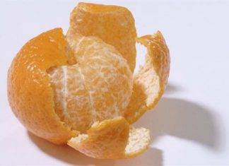 Cáscara de mandarina, el mejor remedio para bronquitis y problemas respiratorios Cáscara de mandarina, el mejor remedio para bronquitis y problemas respiratorios