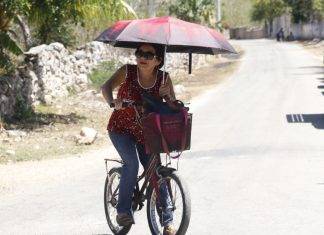 Como tamales sancochados: hasta 41 grados durante los próximos días