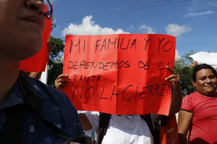 Lamentable caso de Homún