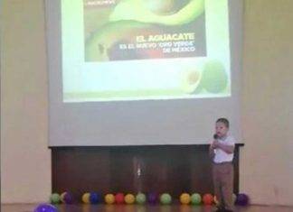 A sus 4 años deja boquiabiertos a todos con ‘cátedra’ sobre el aguacate (video)