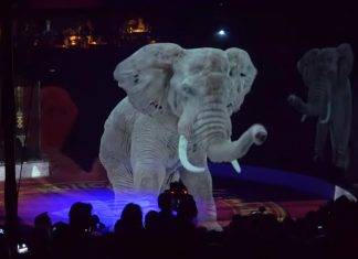 Vuelven animales a los circos… en hologramas Vuelven animales a los circos... en hologramas