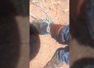 ¡Qué poca m!: Encadenan a niño de 8 años