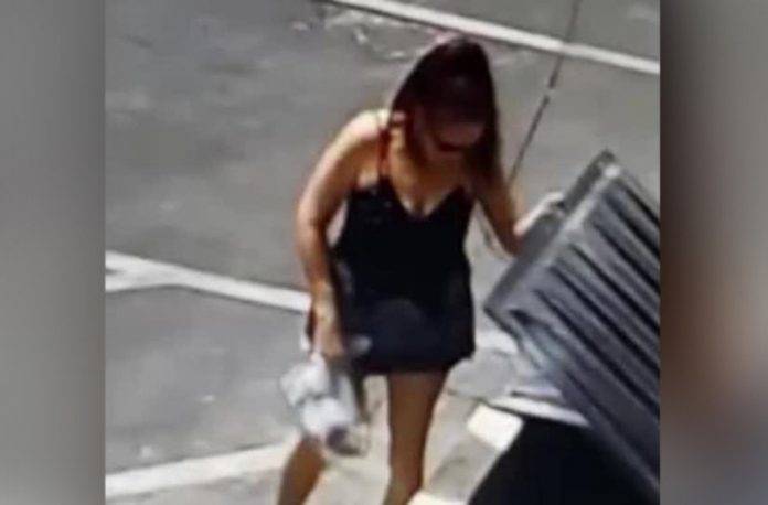 Mujer arroja a siete cachorritos a la basura (video)