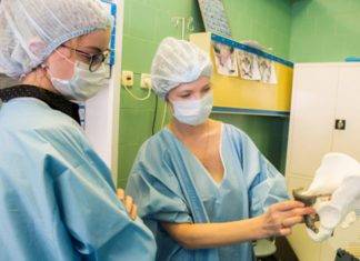 Leer para creer: mujer sin pelvis volverá a caminar gracias a prótesis