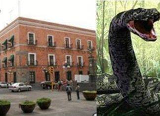 Enigmas: esta es la leyenda de la serpiente que se tragó a un niño Enigmas: esta es la leyenda de la serpiente que se tragó a un niño
