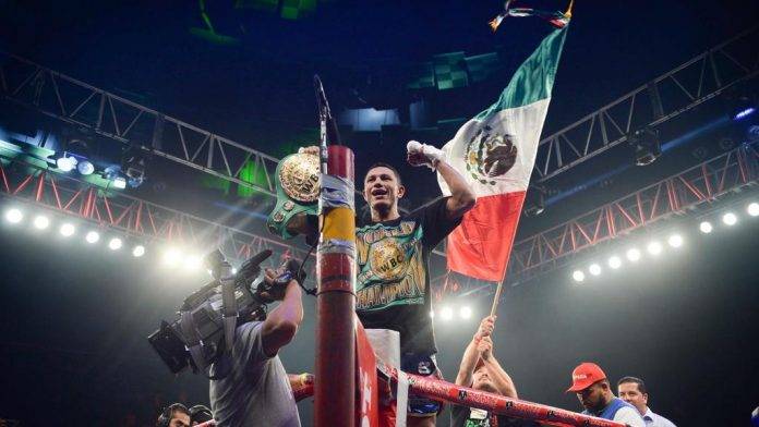 “Alacrán”, tras los pasos del “Canelo”
