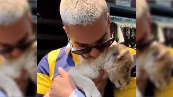 Maluma no aguanta críticas por maltrato animal y cierra su Instagram (Video)