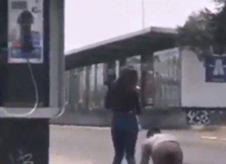 Infiel gatea en la calle para que lo perdonen (video)