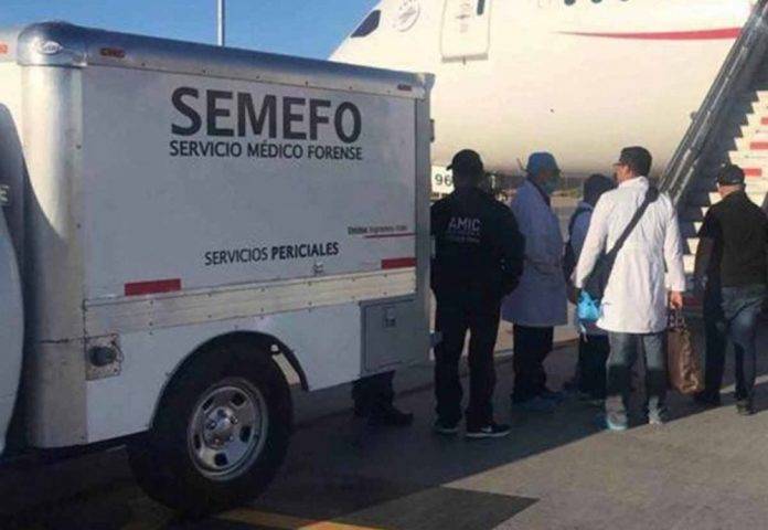 Muere japonés que llevaba 246 envoltorios de cocaína en la panza
