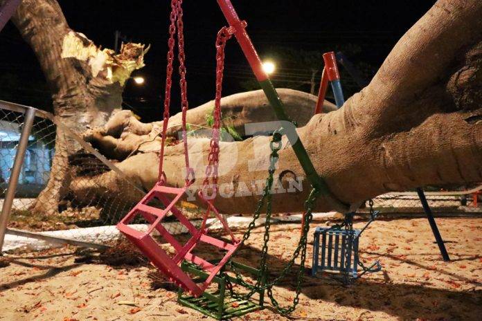 Niños se salvan de morir aplastados por un árbol en un parque infantil