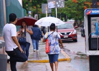 ¡Sal de casa con tu paraguas! Se espera un lunes nublado y con lluvias ¡Lleva tu paraguas! Se prevé lunes nublado y con lluvias durante el día