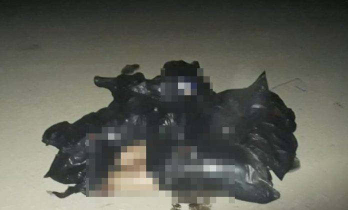 Hallan dentro de bolsas cuerpos de tres mujeres desmembradas en Oaxaca