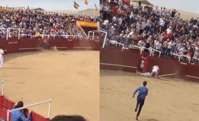 Graban muerte de hombre tras brutal cornada de toro (Video)