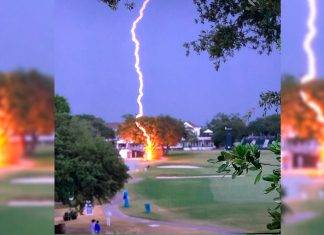 Cae un rayo en un árbol en pleno juego de golf Rayo cae en un árbol en juego de golf