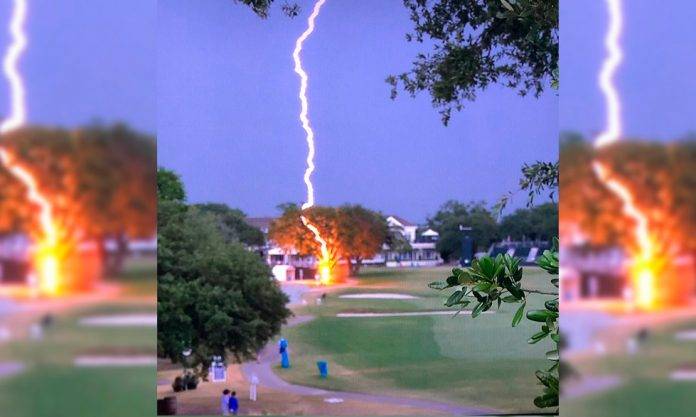 Rayo cae en un árbol en juego de golf