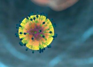 ¿Descubren la cura para el VIH? eliminan el virus a 6 pacientes con células madre ¿Descubren la cura para el VIH? eliminan el virus a 6 pacientes con células madre