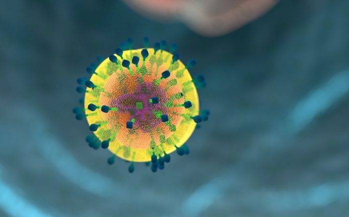 ¿Descubren la cura para el VIH? eliminan el virus a 6 pacientes con células madre