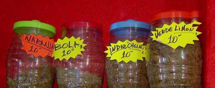 Detectan narcotienda que vendía marihuana sabor a mango, limón, piña...