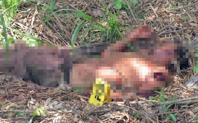¡Por celos! Hombre asesina a su novio de 30 machetazos