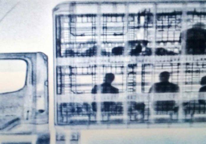 Con rayos X descubren a migrantes dentro de un camión