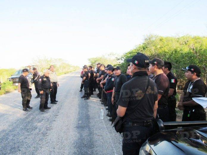 En la búsqueda participan poco más de 50 elementos