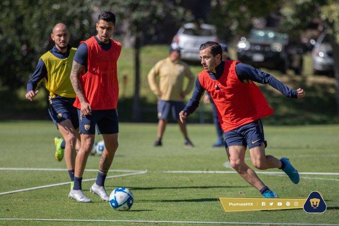 Los Pumas en su pretemporada