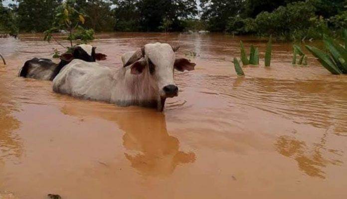Inundaciones severad en Tekax; foto de Héctor Garduño.