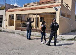 Mérida: joven pintor muere electrocutado al topar su rodillo con cables de alta tensión