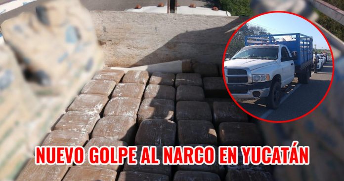 decomiso droga guardia nacional