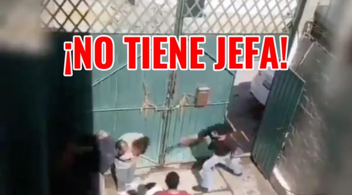 golpes madre familia hijo agresor