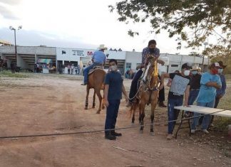 Otra clausura, ahora en Baca: torneo de lazo con unas 100 personas Clausuran torneo de lazo en Baca