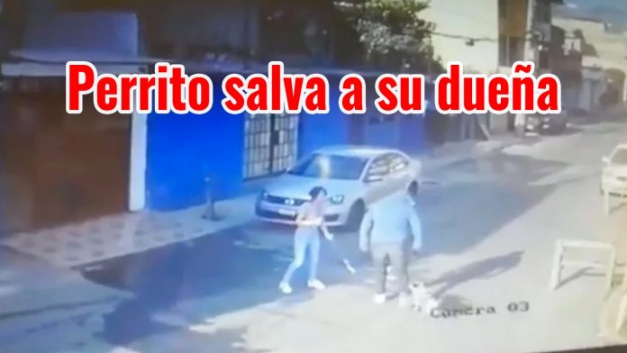 3c323af1-6923-4b3d-a050-59adcf364287