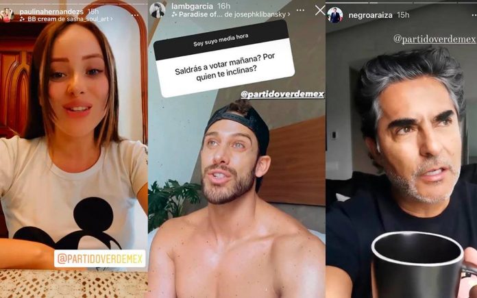 Influencers que fueron pagados por el Partido Verde