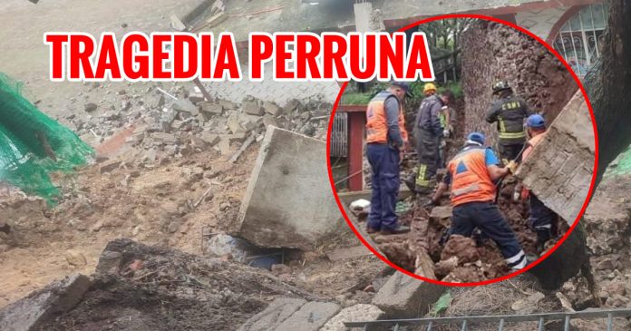 TRAGEDIA PERRUNA