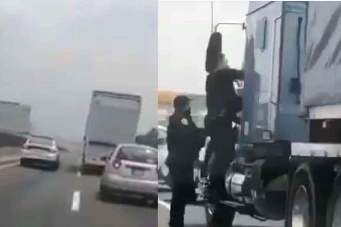 Luego de una persecución, los oficiales dieron alcance al tráiler