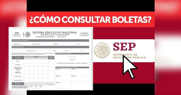 boleta sep